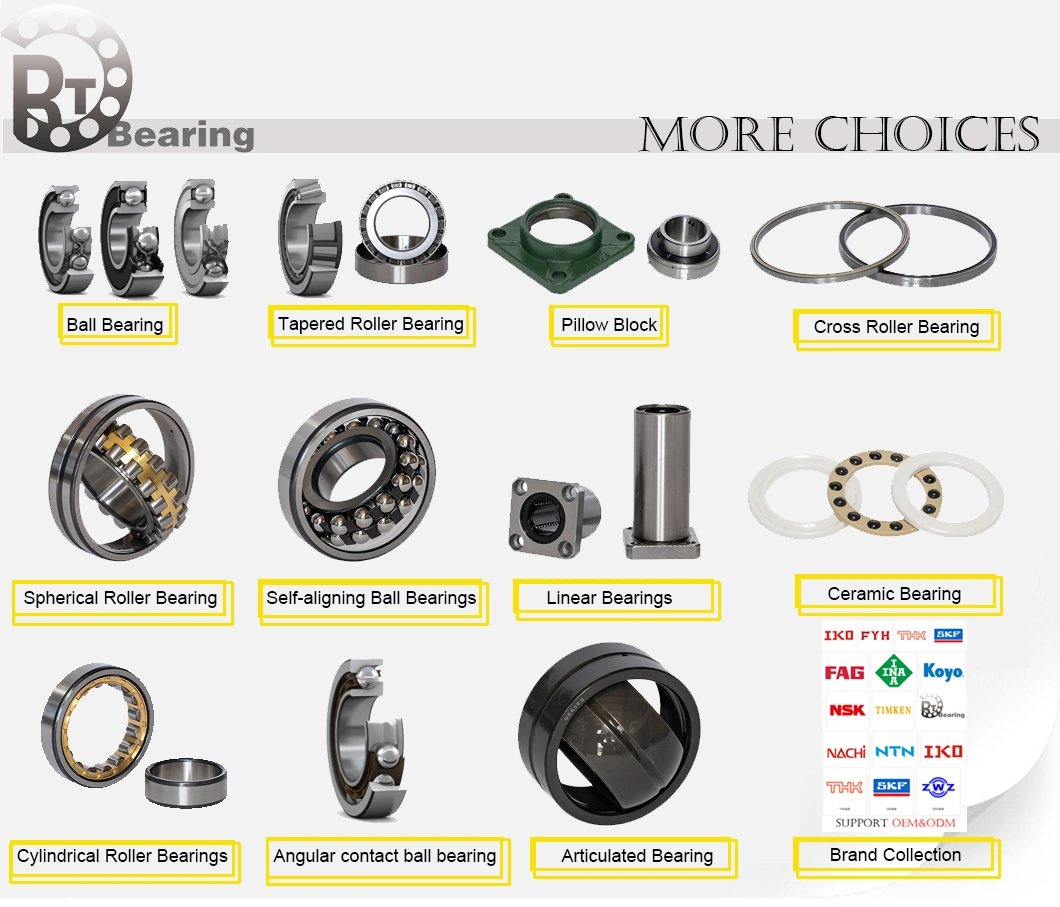 FAG/NSK/Koyo/NTN/Ball Bearings/Deep Groove Ball Bearing/Bearing Housing Wheel Hub/ Assembly/Deep Groove Ball/Linear Bearing /High Temperature/Rgw45hczbh